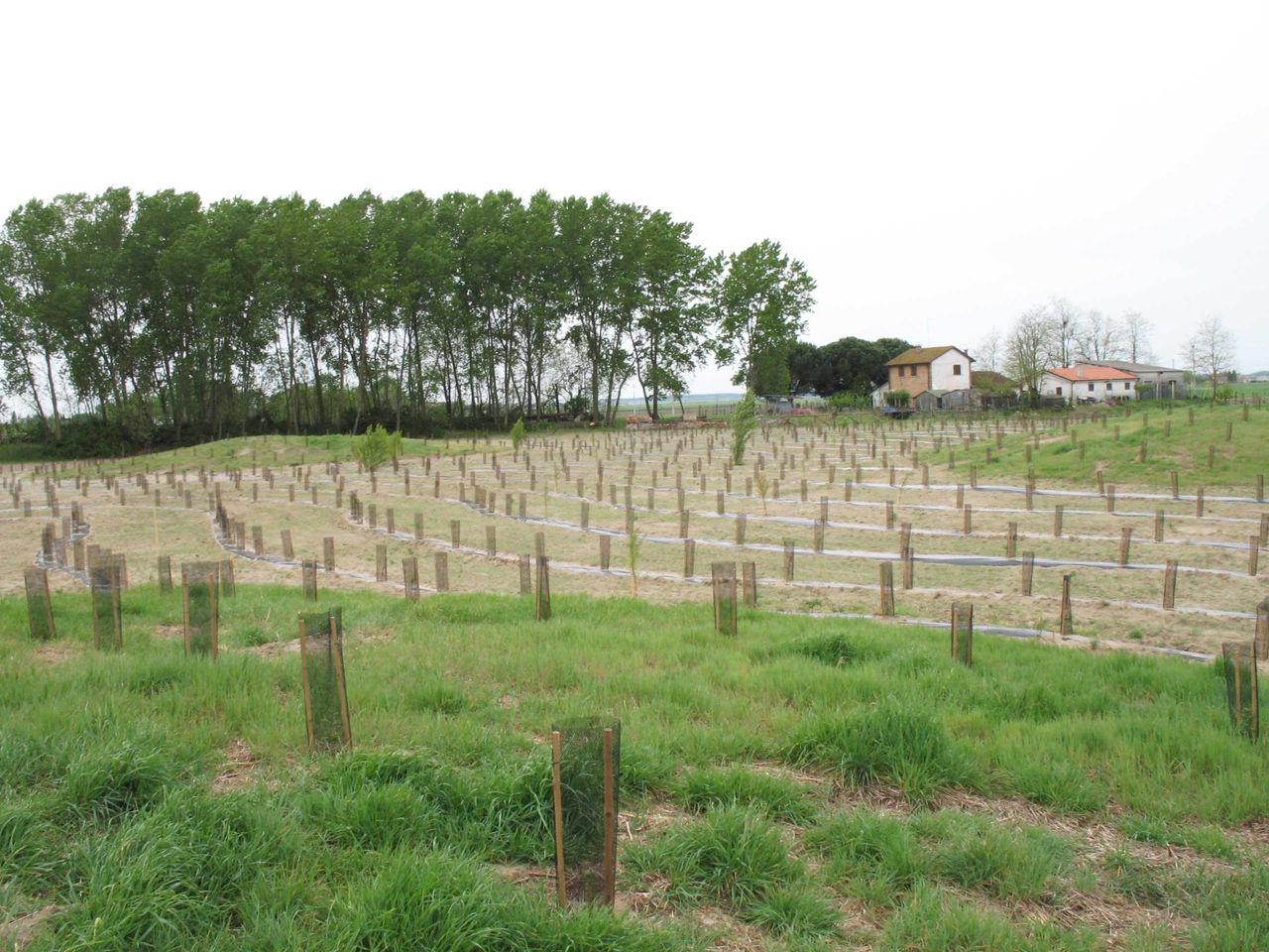 Comune di Ariano nel Polesine (RO)