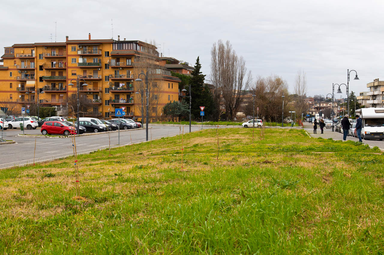 Comune di Mentana (RM)