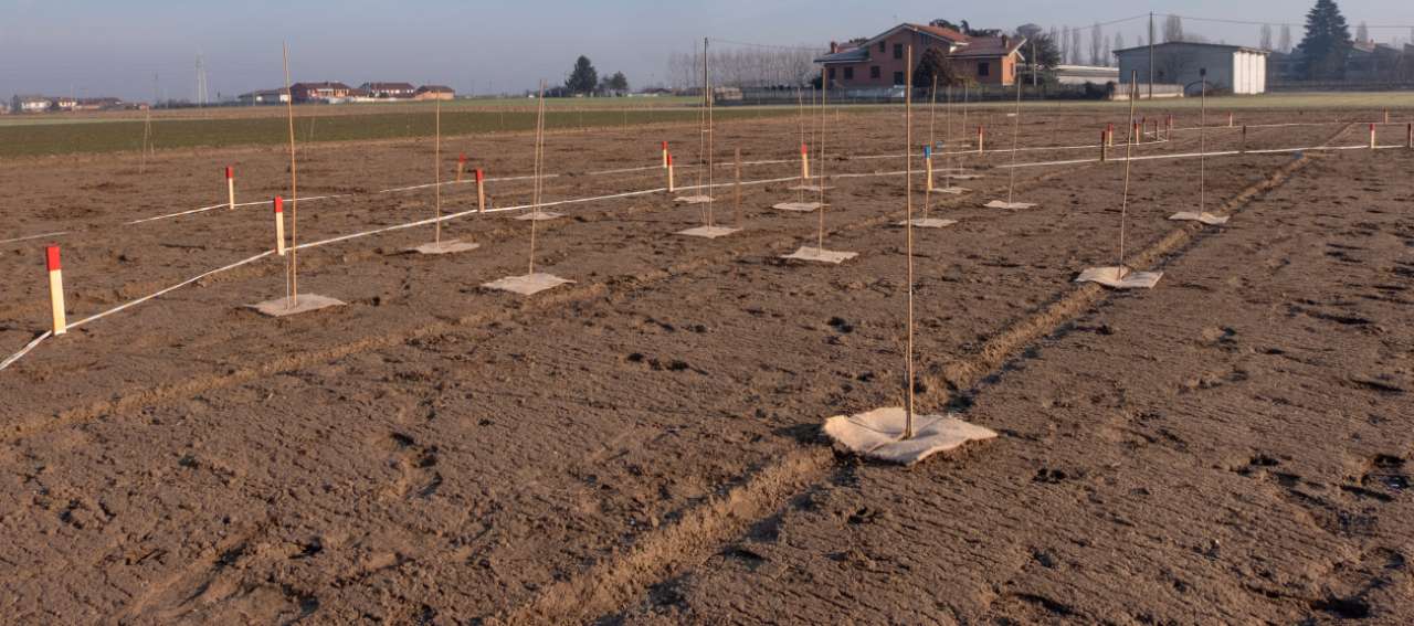 Comune di Carmagnola (TO)
