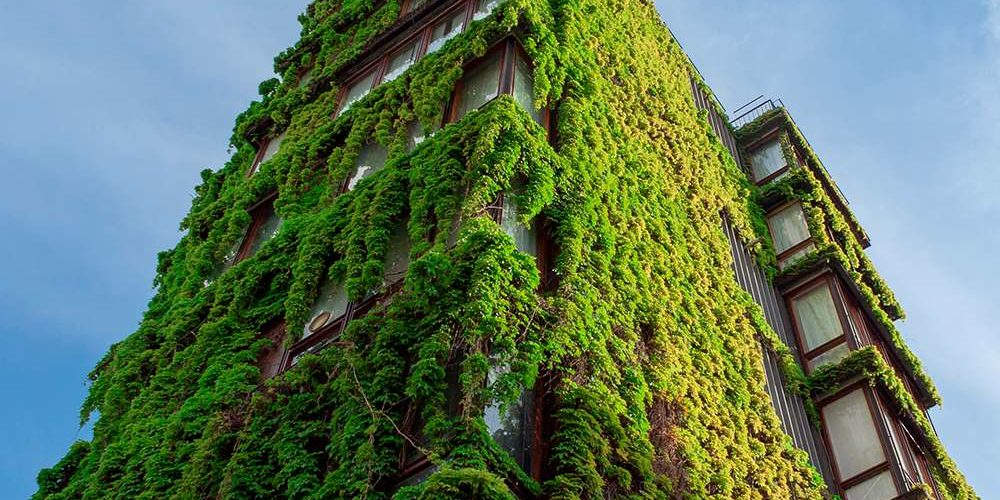 Cos La Bioarchitettura Il Futuro Delle Nostre Case