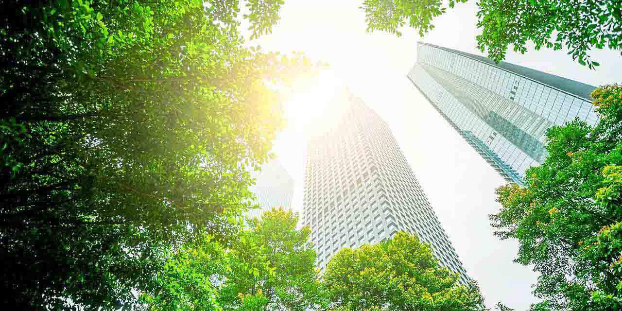 Parco cittadino con grattacieli: la finanza sostenibile interessa sempre più le imprese