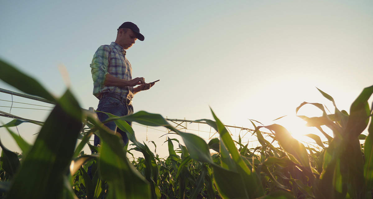 Un agricoltore in un campo controlla sul tablet le migliori offerte luce e gas per aziende agricole