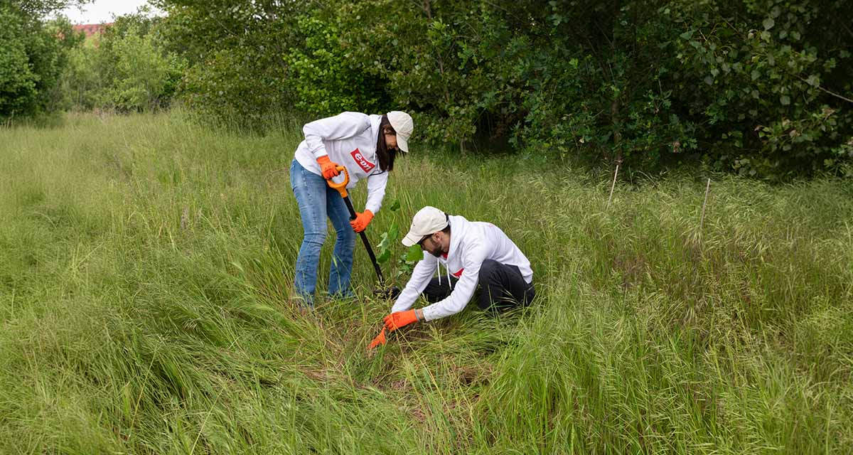 Volontari E.ON in azione per nuove piantumazioni nell'ambito del Progetto Boschi