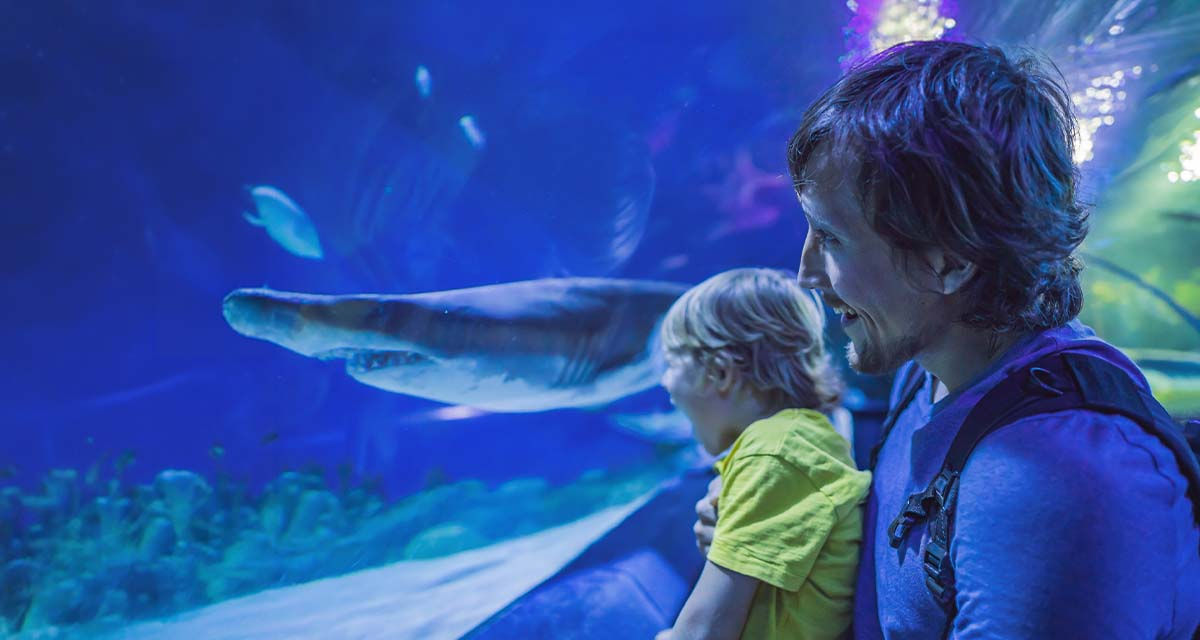 Papà e figlio all'Acquario di Genova: le offerte luce e gas per la capitale ligure vanno scelte sulla base dei consumi e del clima mediterraneo